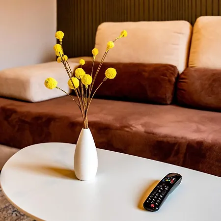 прайм, централен * Plewen